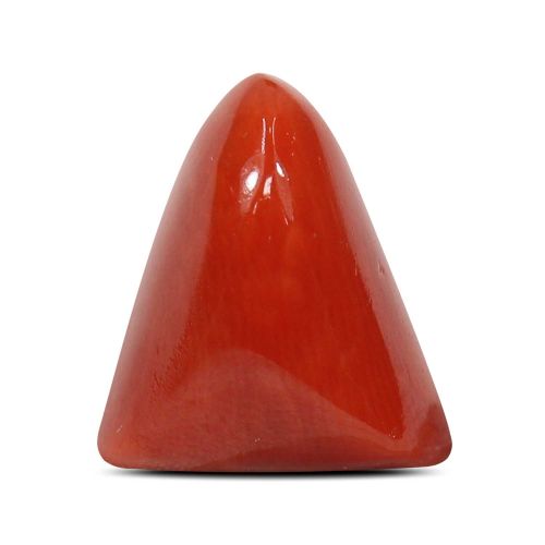 Red Coral (Moonga) - 7.21 Carat 