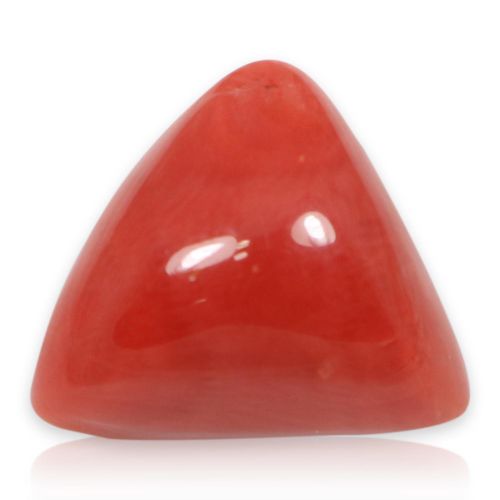 Red Coral (Moonga) - 7.64 Carat 