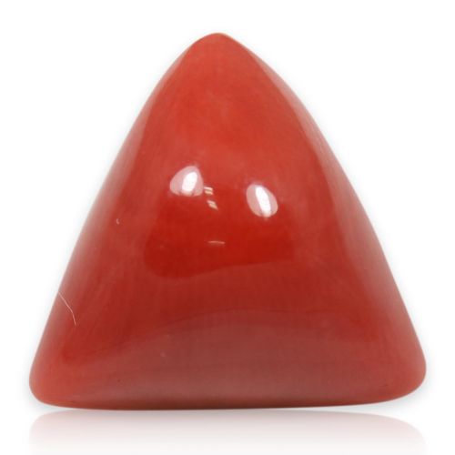 Red Coral (Moonga) - 8.66 Carat 