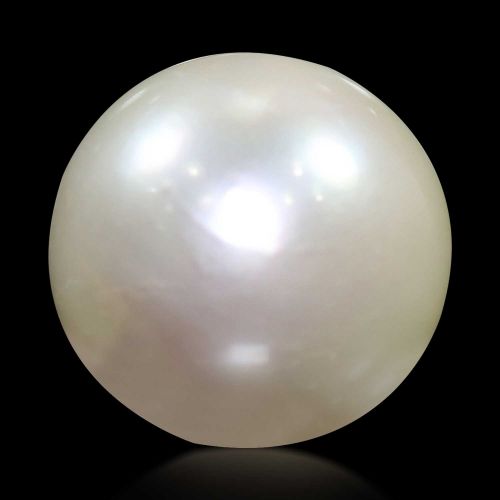 South Sea Pearl (Moti) 10.88 Carat 