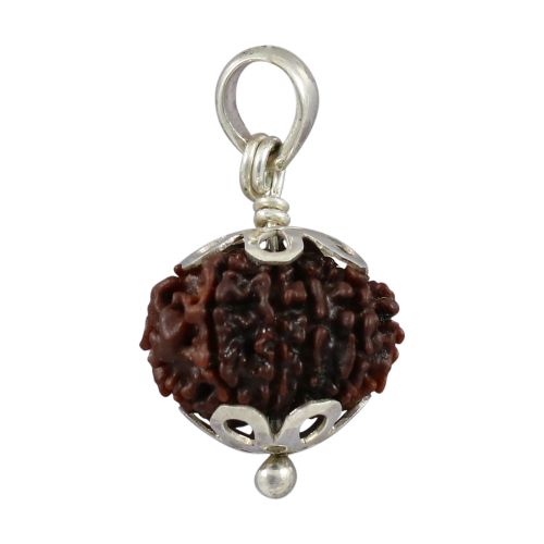 Natural Rudraksha 12 Mukhi Twelve Mukhi Sterling Silver Pendant 19.55 M.M.