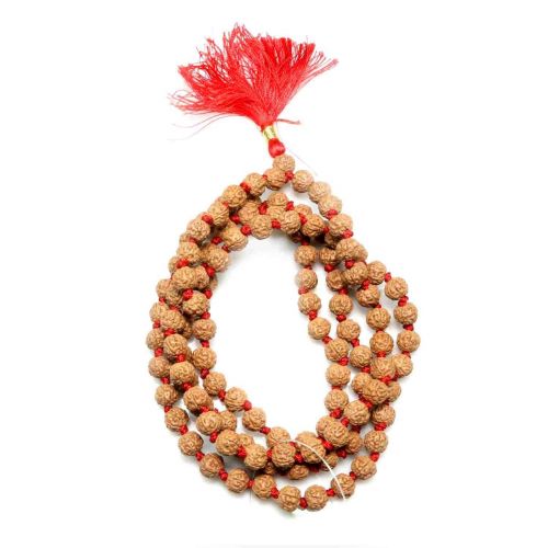 5 Mukhi Rudraksha Mala (Indonesia) (108+1 Beads) GJSPC Certified