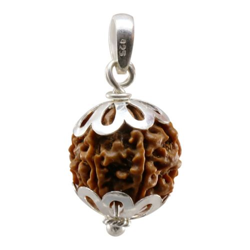 Natural 6 Mukhi Nepali (Six Mukhi) Rudraksha Pendant in Sterling Silver 92.50