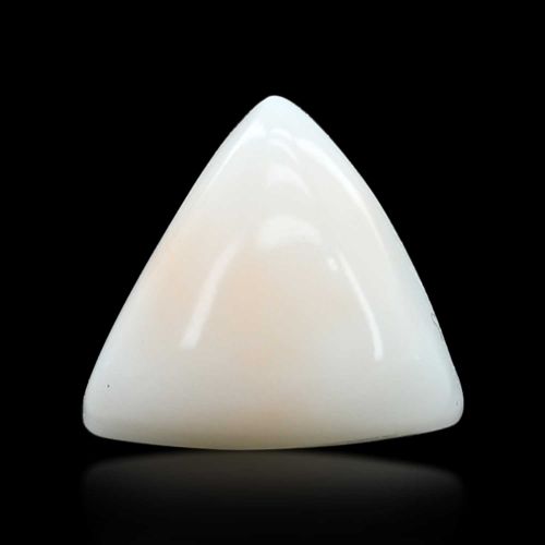 Natural White Coral (Safed Moonga) Cts 6.65 Ratti 7.31