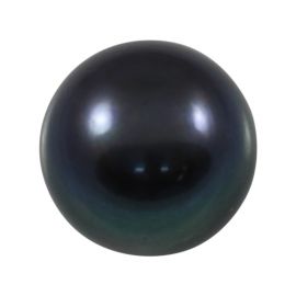 Black Fresh Water Pearl 7.53 Carat 