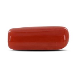 Red Coral (Moonga) - 5.24 Carat 