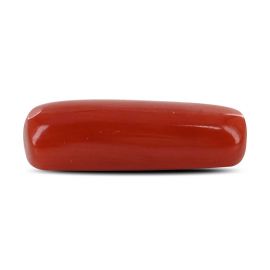 Red Coral (Moonga) - 5.4 Carat 