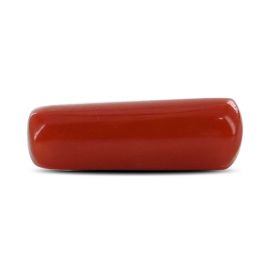 Red Coral (Moonga) - 4.84 Carat 