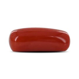 Red Coral (Moonga) - 5.47 Carat 