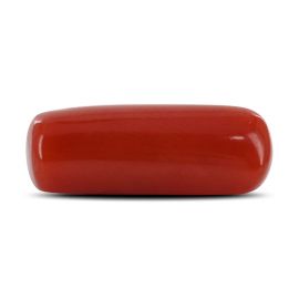 Red Coral (Moonga) - 5.39 Carat 