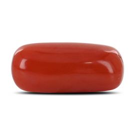 Red Coral (Moonga) - 4.97 Carat 