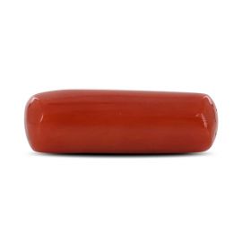 Red Coral (Moonga) - 5.44 Carat 