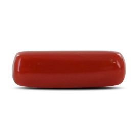 Red Coral (Moonga) - 4.97 Carat 