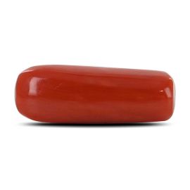 Red Coral (Moonga) - 4.9 Carat 