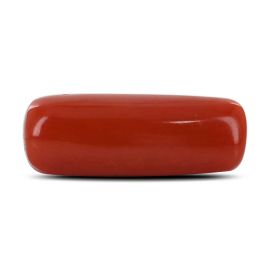 Red Coral (Moonga) - 5.02 Carat 