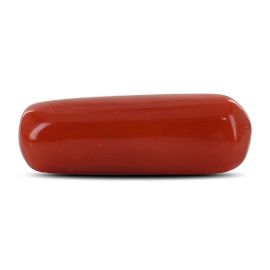 Red Coral (Moonga) - 4.75 Carat 