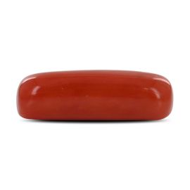 Red Coral (Moonga) - 4.52 Carat 