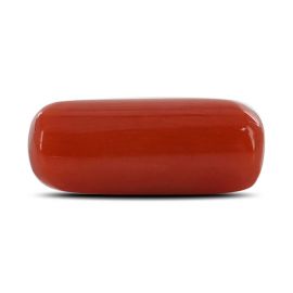 Red Coral (Moonga) - 4.5 Carat 