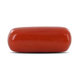 Red Coral (Moonga) - 5.46 Carat 