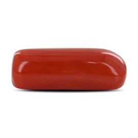 Red Coral (Moonga) - 5.22 Carat 