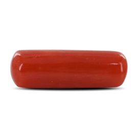 Red Coral (Moonga) - 4.59 Carat 