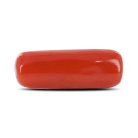 Red Coral (Moonga) - 6.23 Carat 