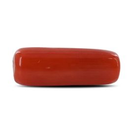 Red Coral (Moonga) - 4.57 Carat 