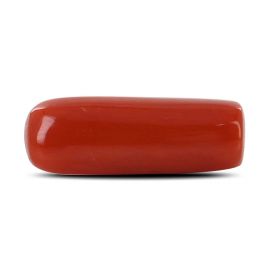 Red Coral (Moonga) - 5.12 Carat 