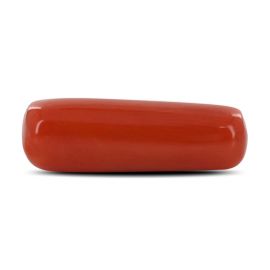 Red Coral (Moonga) - 4.82 Carat 