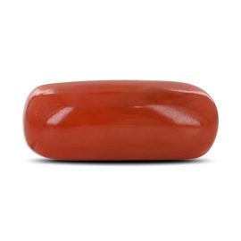 Red Coral (Moonga) - 5.23 Carat 