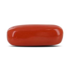 Red Coral (Moonga) - 4.78 Carat 