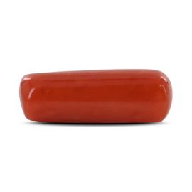 Red Coral (Moonga) - 5.1 Carat 