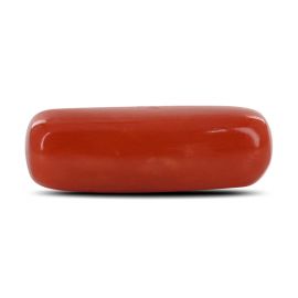 Red Coral (Moonga) - 4.74 Carat 