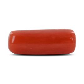 Red Coral (Moonga) - 4.77 Carat 