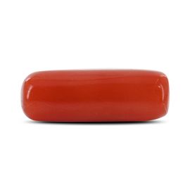 Red Coral (Moonga) - 4.71 Carat 