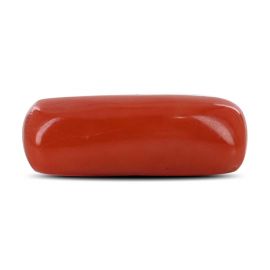 Red Coral (Moonga) - 4.65 Carat 