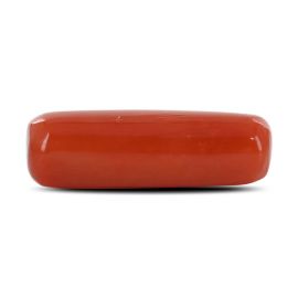 Red Coral (Moonga) - 6.26 Carat 