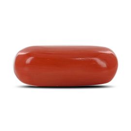 Red Coral (Moonga) - 4.64 Carat 