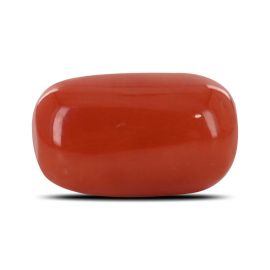 Red Coral (Moonga) - 6.64 Carat 