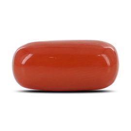 Red Coral (Moonga) - 6.41 Carat 