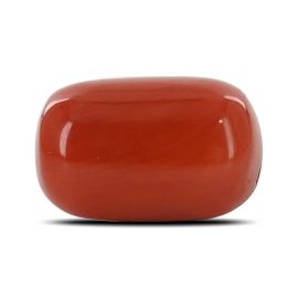 Red Coral (Moonga) - 6.13 Carat 