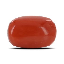 Red Coral (Moonga) - 4.24 Carat 