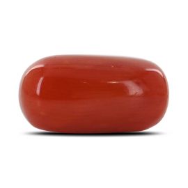 Red Coral (Moonga) - 5.62 Carat 