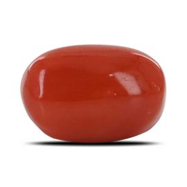 Red Coral (Moonga) - 4.32 Carat 