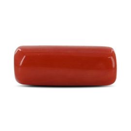 Red Coral (Moonga) - 6.55 Carat 