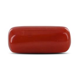 Red Coral (Moonga) - 6.88 Carat 