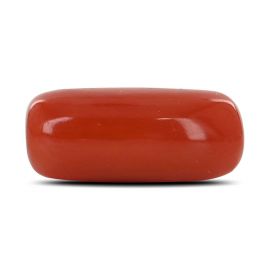 Red Coral (Moonga) - 6.83 Carat 