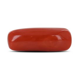 Red Coral (Moonga) - 7.46 Carat 