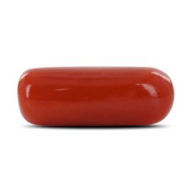 Red Coral (Moonga) - 7.33 Carat 