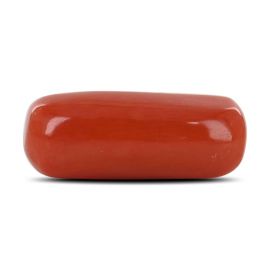 Red Coral (Moonga) - 7.69 Carat 